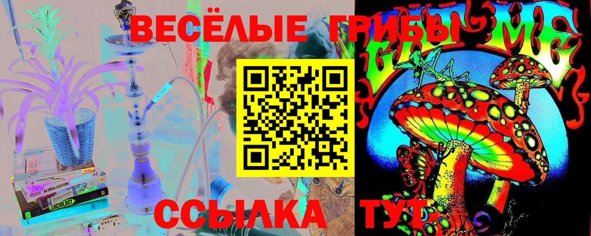 Галлюциногенные грибы мицелий  Галлюциногенные грибы Cubensis  Вход с VPN  Курск 